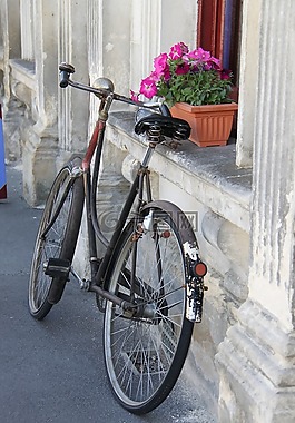 自行車,釀酒,potplant