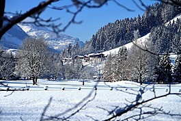 冬天,雪,冷