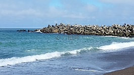 海灘,波
