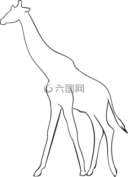 長(zhǎng)頸鹿,動(dòng)物,側(cè)影