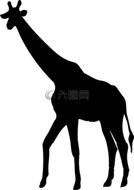 長頸鹿,動(dòng)物,側(cè)影