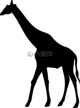 長(zhǎng)頸鹿,動(dòng)物,側(cè)影