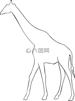 長(zhǎng)頸鹿,動(dòng)物,側(cè)影