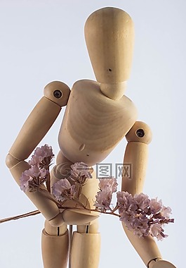木材,木娃娃,花
