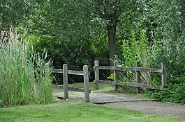 性質(zhì),橋梁,休息