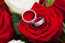 玫瑰,婚禮,一起