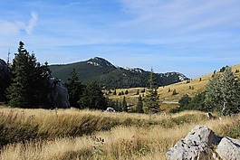 丘陵,山,原野