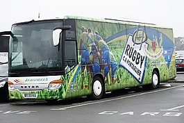 公共汽車,熊,球員