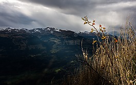 hagenbutte,查看,云量
