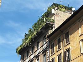 屋顶花园,罗马,意大利