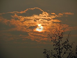 日出,天空,云