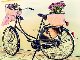 自行車,鮮花,籃
