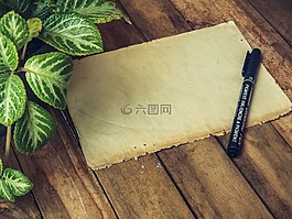 有機(jī),紙,標(biāo)記