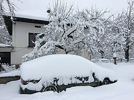 保加利亚,里巴里察,冬天