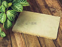 有機(jī),紙,標(biāo)記