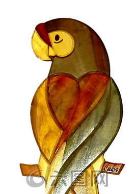 鳥(niǎo),鸚鵡,動(dòng)物