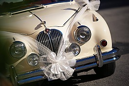 婚禮,汽車,愛