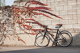 公路自行車,加載,周期