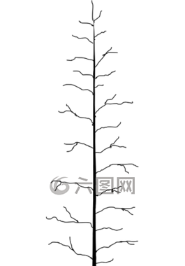 樹,樹干,死亡