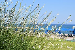 海灘,海,夏天