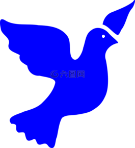 鴿子,鳥(niǎo),和平