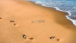海灘,沙,海洋