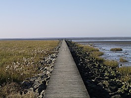 網(wǎng)站,海,北海