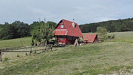 茅屋,樹,大自然