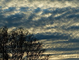 天空,云,樹(shù)木
