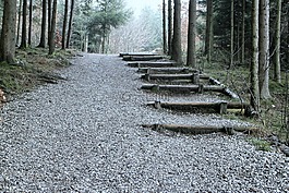性質(zhì),離,冬天