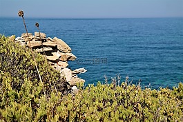 海,植物,石头