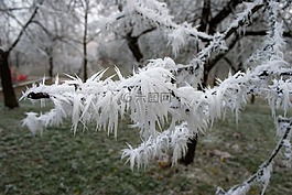 冬天,仙境,雪