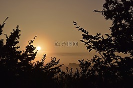 影子,樹木,背光