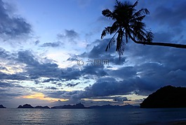 棕榈树,海滩,离岛
