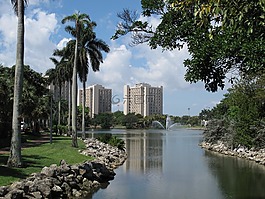 大學(xué),珊瑚電纜,邁阿密