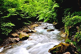 河,自然,水