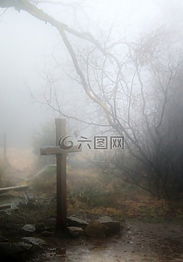 霧,秋季,森林