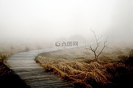 霧,秋季,性質(zhì)