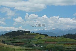梯田,綠,領(lǐng)域