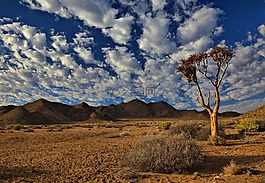 richtersveld,南非,沙漠
