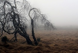 霧,秋季,性質