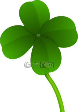 三葉草,運(yùn)氣,植物區(qū)系