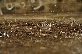 水,滴,一滴水
