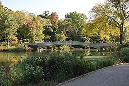 中央公園,曼哈頓,美國