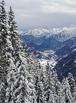 雪,山,冬天