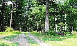 泥路,國(guó)家,路徑