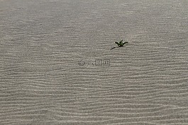 寂寞,沙,沙灘
