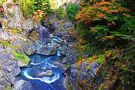 溪,峽谷,日本