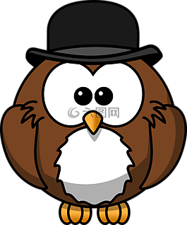 貓頭鷹,動物,鳥