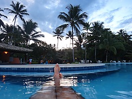 放松,池,夏天